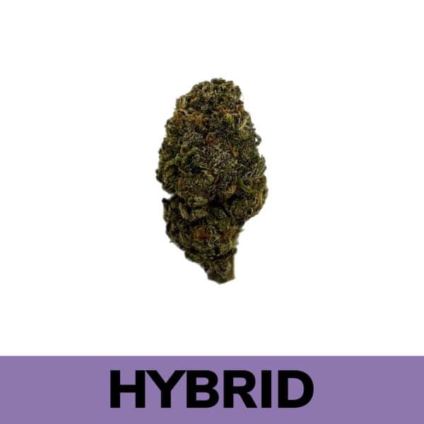 Blue Sherbert strain's effects trigger creativity, but most of this weed’s consumers state that they are overwhelmed by its relaxing properties