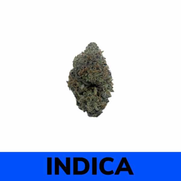 Buy Weed Online - Alien Tech Strain
