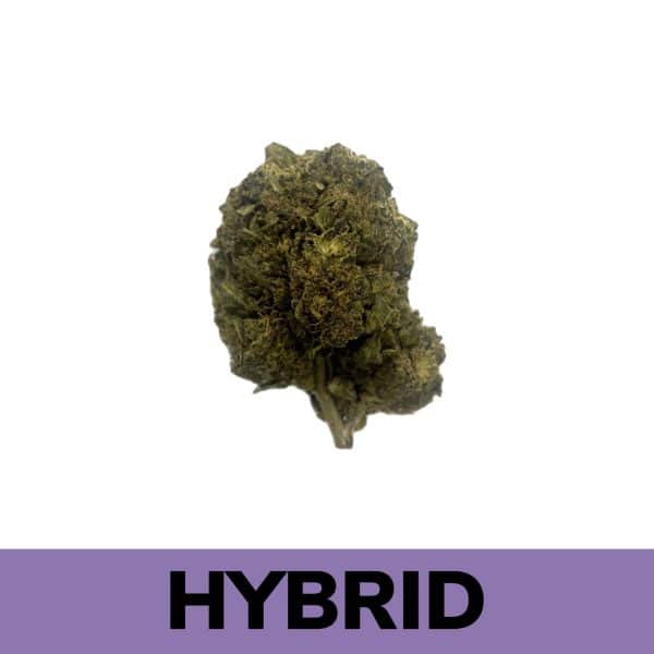 Sour OG marijuana strain is a hybrid and a cross between OG Kush, Blueberry and Sour Diesel with a 50:50 sativa/indica ratio.