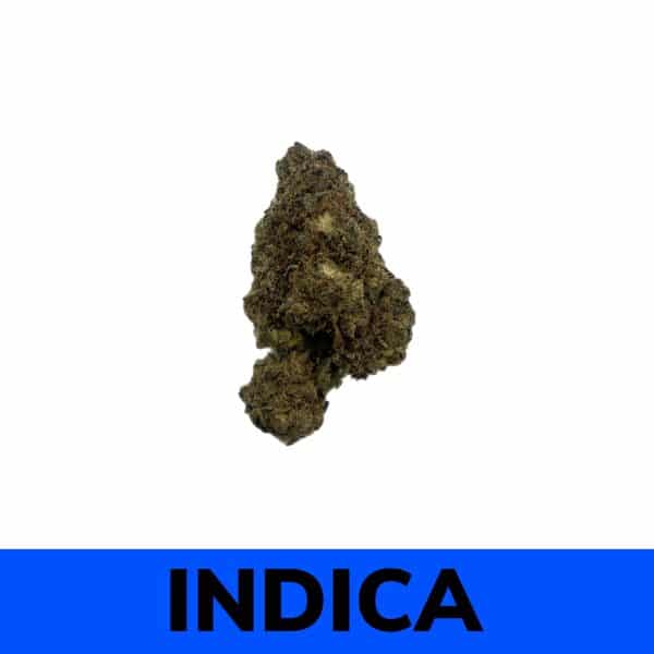 Gelato Cookies strain, also known as “Cookie Gelato,” is an indica dominant hybrid strain created through crossing the classic Thin Mint Girl Scout Cookies X Sunset Sherbet strains.