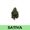 Bruce Banner This homage to the comic book legend could turn even the Incredible Hulk into a mild-mannered everyman. It's powerfully relaxing, with sativa-dominant genes (60:40 sativa/indica ratio).