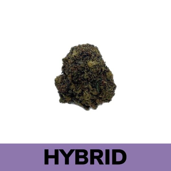 Cali Gold strain is an evenly balanced hybrid strain and is quite popular amongst individuals who have been smoking cannabis for quite some time. It offers an amazing kick and an exceptional flavor at the same time. Upon closer inspection, the buds turn out silvery green in color. You may also notice dark orange hairs amidst the greens but what truly sets it apart are its prominent crystals.