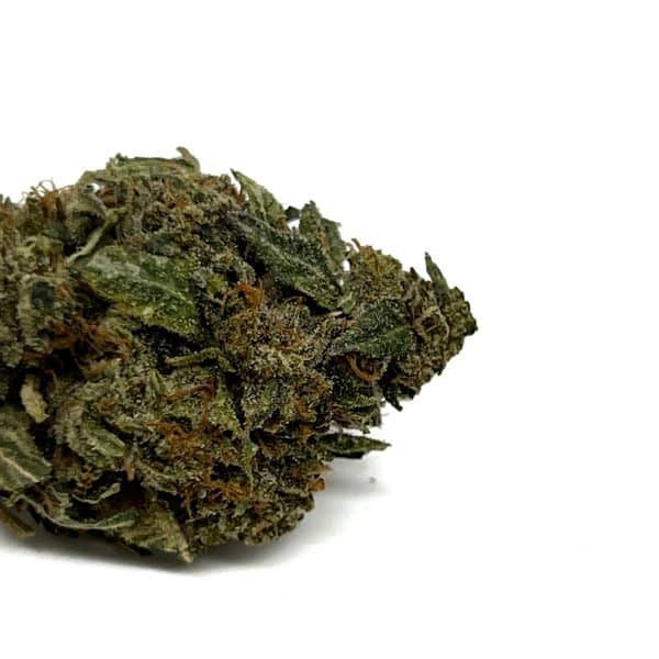Platinum Kush strain gets its name from its frosty appearance, a result of the dense trichomes that grow on the bud. Plat Kush has more CBD than most strains available in Canada. This chemical is used to treat severe seizures and other conditions. The combination of THC and CBD makes this a good strain for anxiety, depression, and pain, as the body high is deeply relaxing.