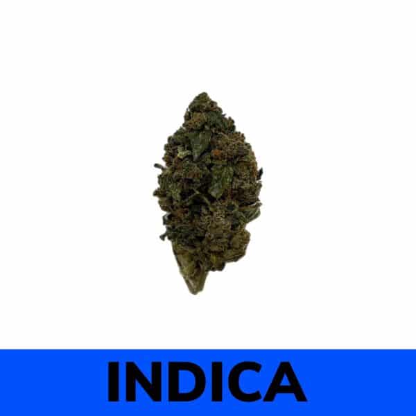 Platinum Kush strain gets its name from its frosty appearance, a result of the dense trichomes that grow on the bud. Plat Kush has more CBD than most strains available in Canada. This chemical is used to treat severe seizures and other conditions. The combination of THC and CBD makes this a good strain for anxiety, depression, and pain, as the body high is deeply relaxing.