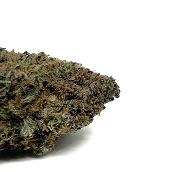 Orange Cookies - Image 2