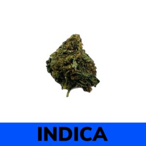 Canna Club Co - Grape Ape strain is a tasty, memorable strain with strong indica roots. Its distinctive look and complex fruity flavor makes it an easy favorite -- to say nothing of its incredibly potent body high. The leaves themselves are a deep green, with certain phenotypes expressing shades of purple and even red.