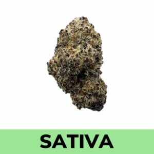 Strawberry Cough (AAA+)