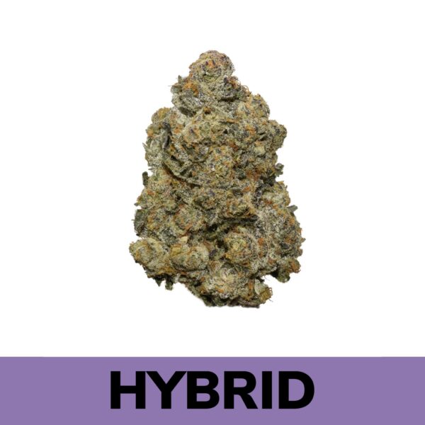 Buy Weed Online - High School Sweetheart is an evenly balanced hybrid strain (50% indica/50% sativa) created through crossing the classic Cherry Pie Kush X Grateful Breath strains. One taste of this delicious lady and you’ll be dreaming of the good old days with your high school sweetie. This bud packs a mouthwateringly sweet cherry berry flavor with a light touch of sour citrus upon exhale.