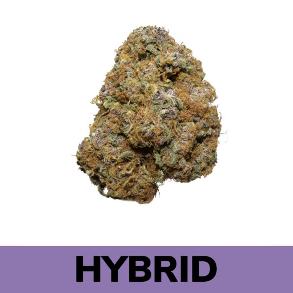 Buy Weed Online - Ice Age is an exclusive Hybrid strain. It leads with bright notes of pine before easing into sweet woody/musky/berry flavours and concluding with a smooth, earthy sweetness.