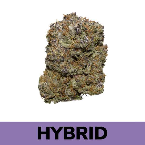 Lady Boss is an exclusive Hybrid strain that is a great choice for any hybrid lover who appreciates a sativa lean in their bud. This strain has a sweet and fruity cherry blueberry flavour with hints of hazy grapes and a touch of spices. It is known for its strong and euphoric high, which can boost creativity and sociability. A relaxing body buzz also accompanies this heady state, keeping your physical form anchored and kicked back as your mood flies higher and higher into pure bliss.
