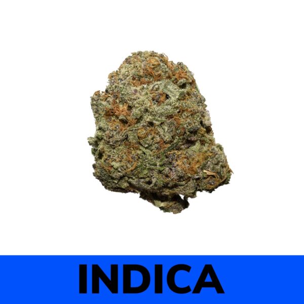 Sundae Best is a slightly indica dominant hybrid strain (60% indica/40% sativa) created through crossing the delicious Jet Fuel Gelato X Sundae Driver strains. This celebrity combination creates a super potent strain with an amazing dessert-like flavor that will leave you coming back for more again and again. The flavor is much like a creamy, fruity gelato topped with sweet citrus and a touch of cinnamon.