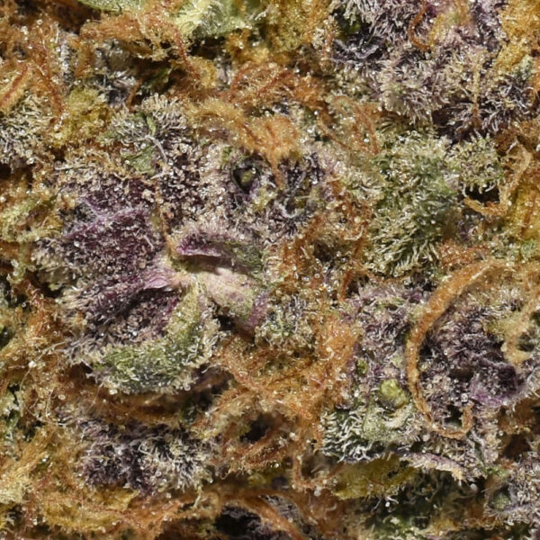 Buy Weed Online - Ice Age is an exclusive Hybrid strain. It leads with bright notes of pine before easing into sweet woody/musky/berry flavours and concluding with a smooth, earthy sweetness.