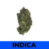 MK Ultra strain is an Indica dominant medicinal marijuana strain that has ultra-strong cerebral effects.  MK Ultra is an incredibly hard-hitting strain with a strong and strange odor. It has a pungent flavor that is a blend of skunk and earthy tastes. It is well-known for its hypnotic powers that immediately affect your system.
