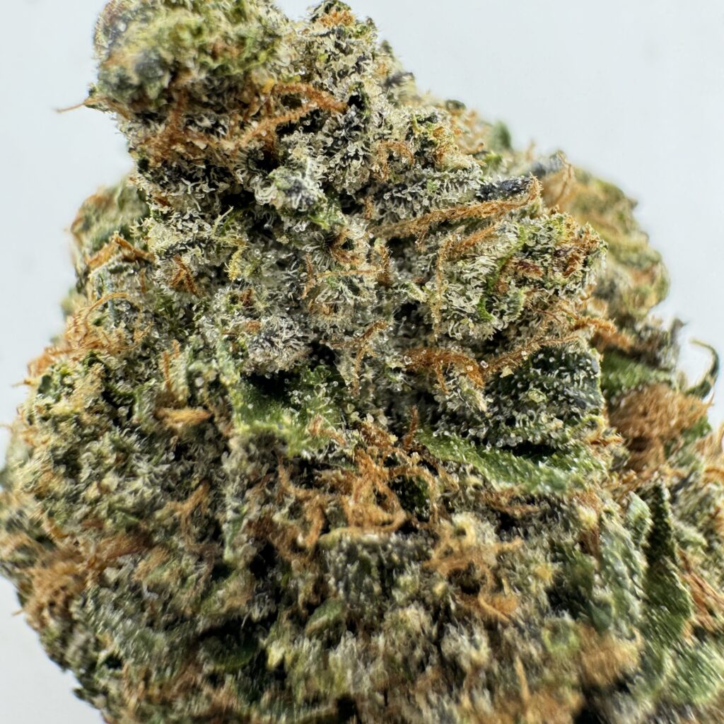 Affordable Burnaby Weed Delivery Services | Canna Club Co