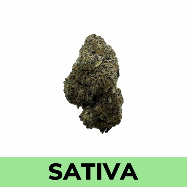 Wedding Crasher strain comes from the folks at Symbiotic Genetics, known for their sweet, fruity strains. This one comes from Purple Punch and Wedding Cake strains. Though the intensity varies from plant to plant, Wedding Crasher tends to be sativa dominant.