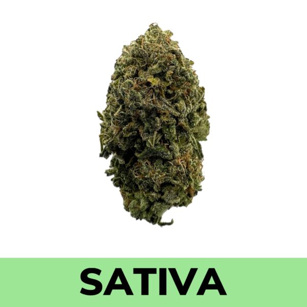 Mimosa (AAA)