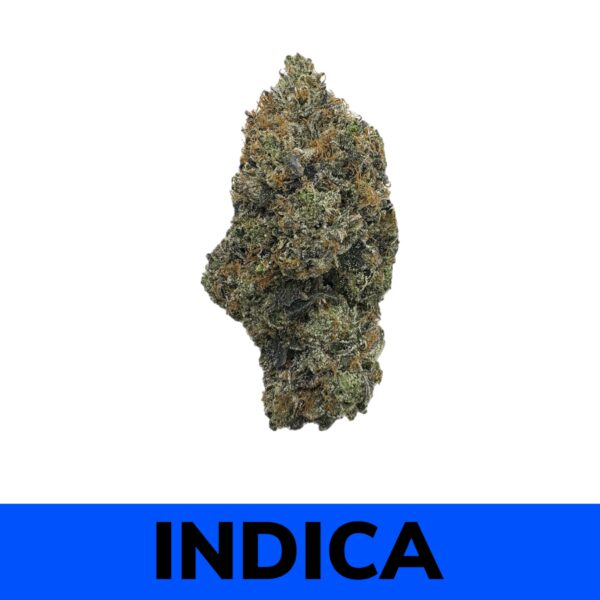 Supreme Pink Rockstar (AAAA)