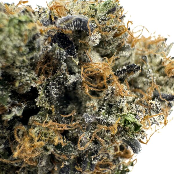 Supreme Pink Rockstar (AAAA) - Image 2