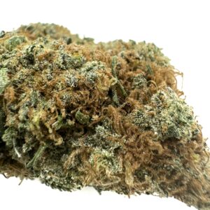 Orange Daiquiri strain is a sativa dominant hybrid (75% sativa/25% indica) created through crossing the delicious Orange Cookies X Grape Pie #2 strains.