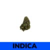 Blackberry Kush (AA+)