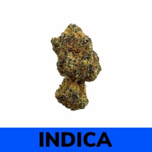 Double OG strain is an indica dominant (80% indica/20% sativa) flower created as a cross of the hugely popular SFV OG X Big Bud Afgoo strains.