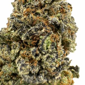 Sour Jamaican Lime strain is an indica dominant hybrid (70% Indica / 30% Sativa) created through a cross of the classic Lime Light X Santa Cruz OG strains.