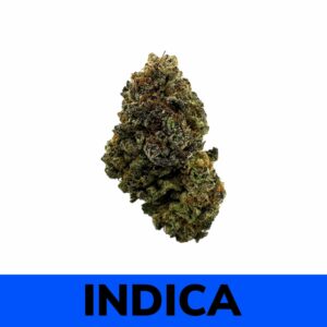 Sour Jamaican Lime strain is an indica dominant hybrid (70% Indica / 30% Sativa) created through a cross of the classic Lime Light X Santa Cruz OG strains.
