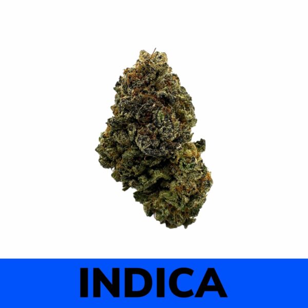 Sour Jamaican Lime strain is an indica dominant hybrid (70% Indica / 30% Sativa) created through a cross of the classic Lime Light X Santa Cruz OG strains.