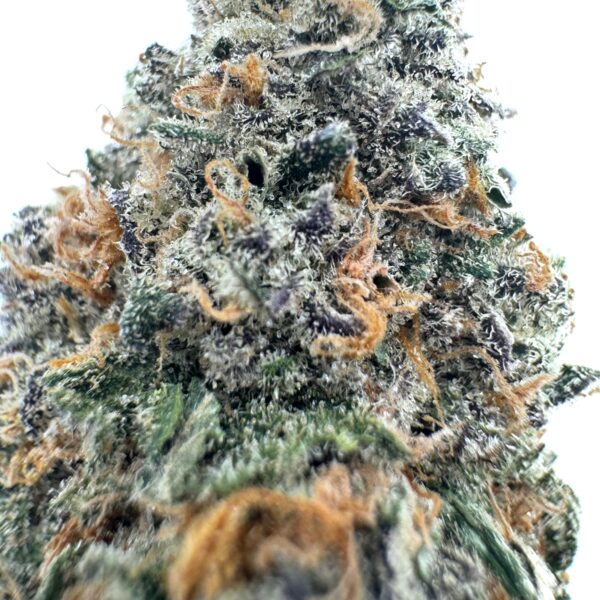 Citrus Haze (AAA+) - Image 2