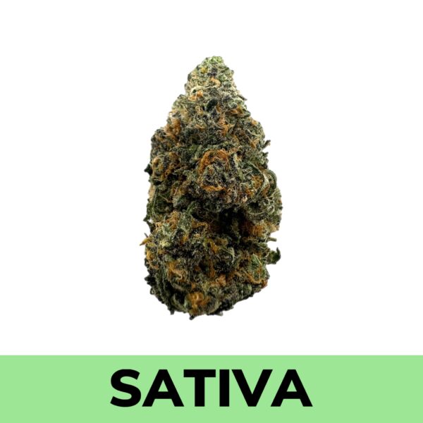 Citrus Haze (AAA+)