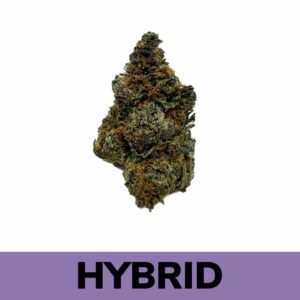 Weed Delivery - Runtz
