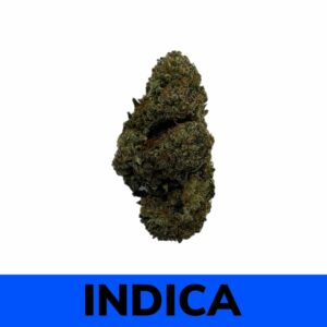 Buy Weed Online - Pink Tuna strain