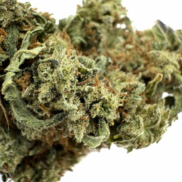 Jack Herer strain well-rounded high makes it a great strain for cannabis newcomers. It’s uniquely social in its ability to facilitate conversation while allowing users to maintain a semblance of awareness.