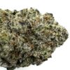 Purple Punch