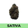 Black Cherry Soda (AAA)