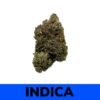 Granddaddy Purple