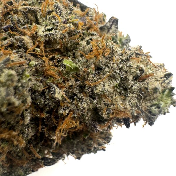 Rockstar (AAAA) - Image 2