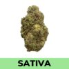 Lemon Sour Diesel (AAA)