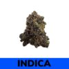 Rockstar Quad Only Dispensary and Weed Delivery Surrey