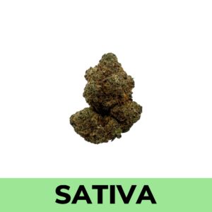 Black Cherry Soda (AA)