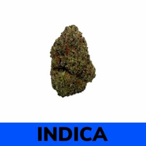 Pine Tar - Buy Weed Online