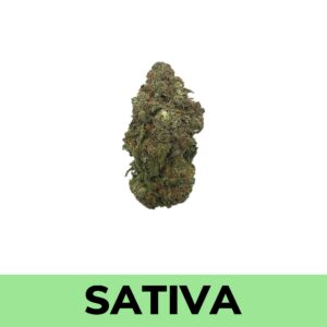 Buy Weed Online - Lemon Pie