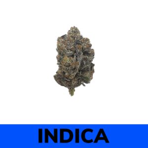 Pinetar - Living Soil Organic (AAAA)