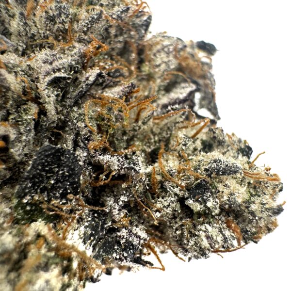 Pinetar - Living Soil Organic (AAAA) - Image 2