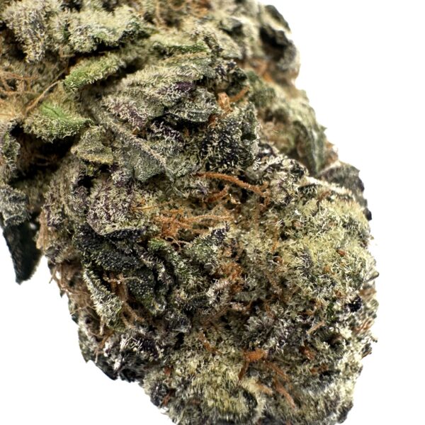 Purple Haze (AAA+) - Image 2