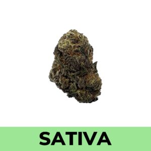 Buy Weed Online Purple Haze