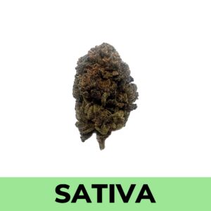 Jet Fuel (AA)