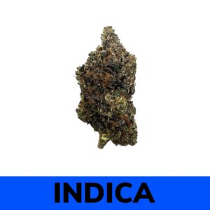 Living Soil Organic Pink Kush