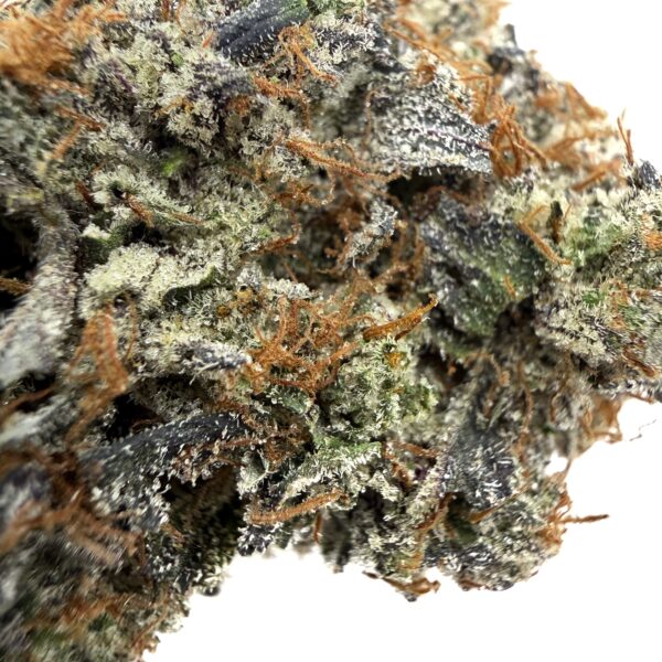 El Chapo - Living Soil Organic (AAAA) - Image 2