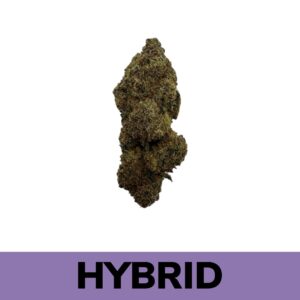 Buy Weed Online - Grape Gasoline